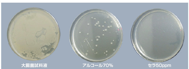 抗菌作用試験結果 2　表